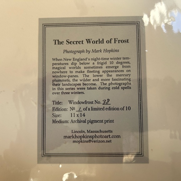 The Secret World of Frost Archival pigment print of a photograph by Mark Hopkins - Picture 4 of 4